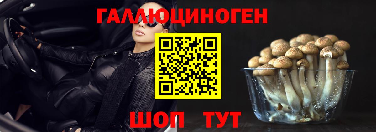 Псилоцибиновые грибы мицелий  Артёмовский  Псилоцибиновые грибы Magic Shrooms 